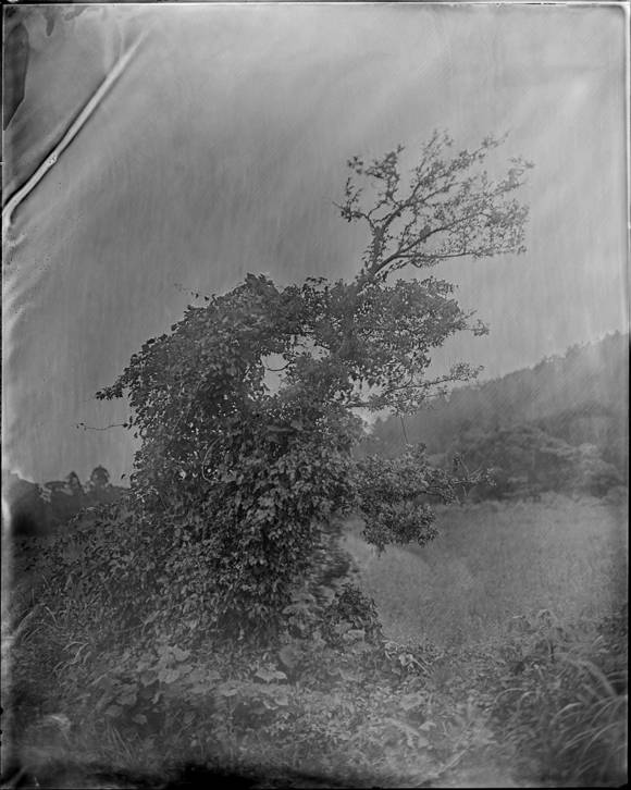 ▲ 사진작가 김창현ⓒ작가 제공