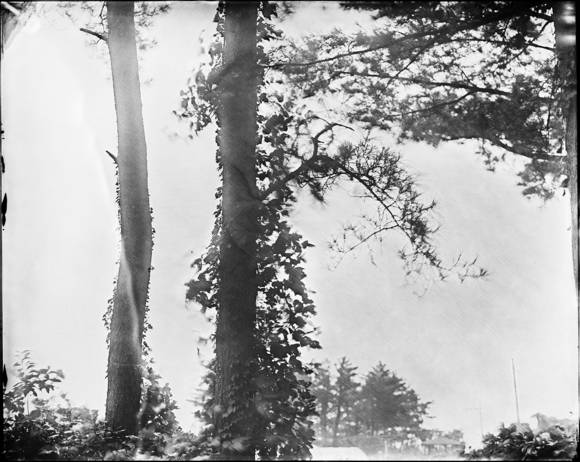 ▲ 사진작가 김창현ⓒ작가 제공