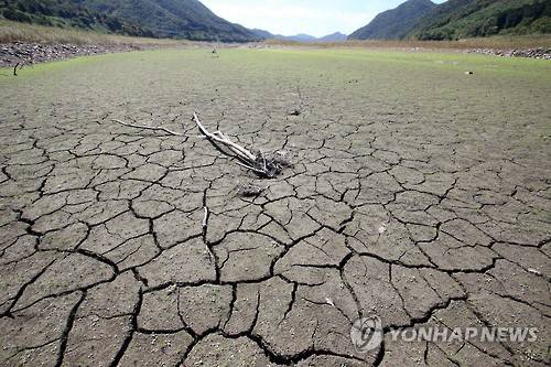 ▲ 바닥이 드러난 보령댐 상류지역.ⓒ연합뉴스