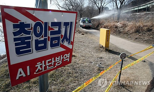 ▲ AI 차단 방역.ⓒ연합뉴스