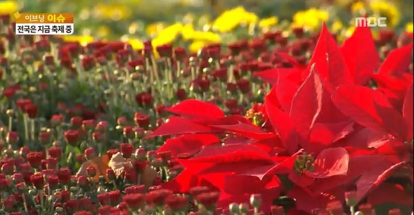 ▲ 오늘날씨ⓒ방송캡쳐