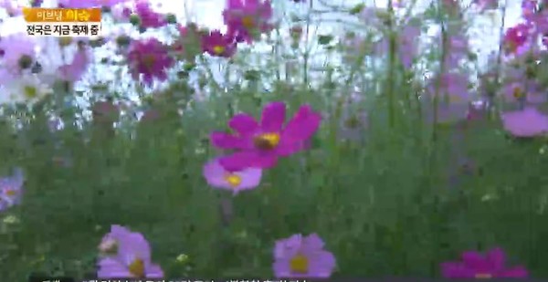 ▲ 오늘날씨ⓒ방송캡쳐