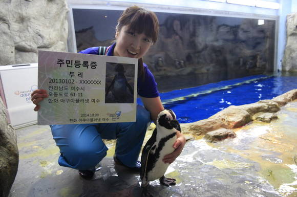 ▲ 아쿠아플라넷 여수.ⓒ한화리조트