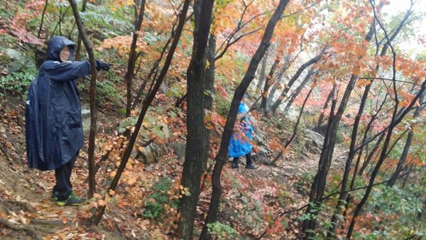 ▲ 북한산 600고지 단풍이 들었다. 오늘날씨ⓒ뉴데일리 스타