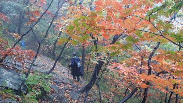 ▲ 기상청, 오늘날씨 청명. 북한산은 600고지까지 단풍물결ⓒ뉴데일리 스타
