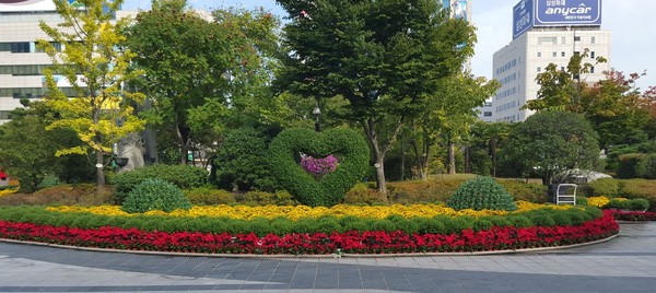 ▲ 시청 햇빛광장에 가을 국화 꽃동산을 조성했다ⓒ뉴데일리