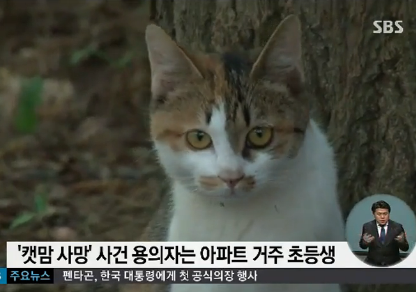 ▲ ⓒSBS 방송화면