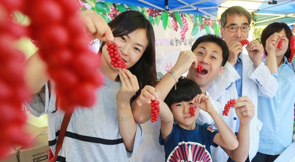 ▲ 백전 오미자 축제에서 관광객 가족들이 오미자의 맛과 효능을 알리고 있다 함양군 ⓒ뉴데일리