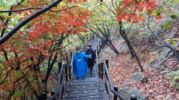 ▲ 가을 단풍이 절정인 북한산 600고지를 오르고 있는 등산객들,오늘의 건강은 운동에서 시작된다ⓒ뉴데일리 스타