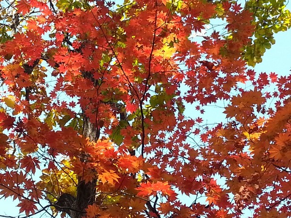 ▲ 청명한 가을하늘 북한산, 미세먼지는 주의ⓒ뉴데일리 스타