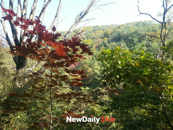 ▲ 청명한 가을하늘 북한산, 미세먼지는 주의ⓒ뉴데일리 스타