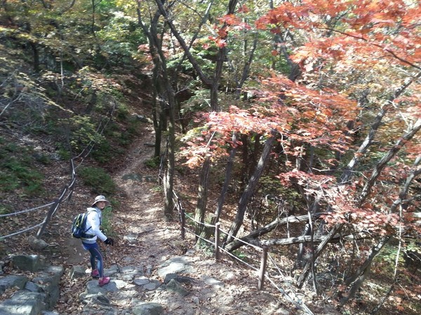 ▲ 오늘날씨 미세먼지가 걱정이지만 북한산 600고지는 단풍이 절정이다ⓒ뉴데일리 스타