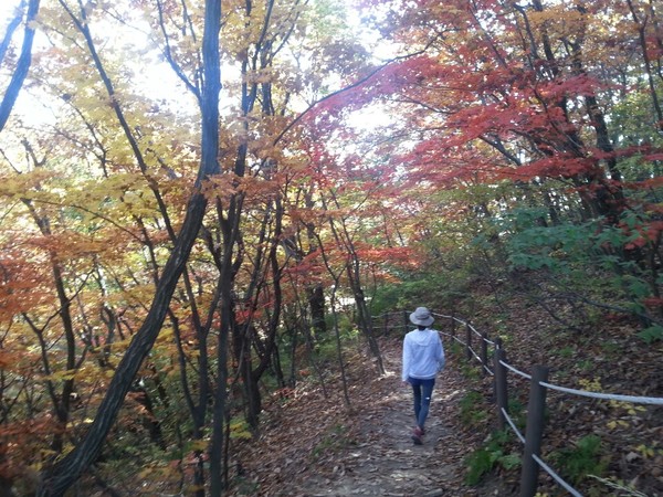 ▲ 일기예보, 북한산의 온통 단풍물결, 오후부터 등산을 가도 좋다ⓒ뉴데일리 스타