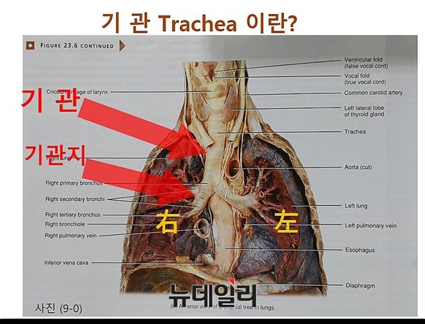 ▲ ⓒ 의료혁신투쟁위원회