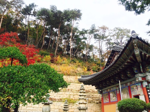 ▲ 오늘날씨예보, 두물머리 수종사의 가을이 아름답다. 하지만 가뭄으로 지난 주말 내장객들에게 화장실자제 문구가 걸리기도 했다. 가뭄해갈은 언제가 될까? 관심이 집중되고 있다ⓒ뉴데일리 스타 황용희기자