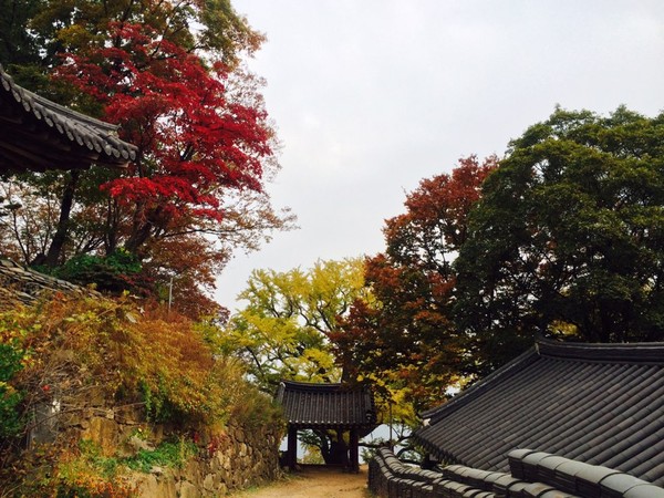 ▲ 기상청은 오늘날씨예보를 통해, 날씨는 춥지만 단풍은 장관을 이룰 것이라고 밝혔다. 양수리 수종사의 단풍ⓒ뉴데일리 스타 황용희