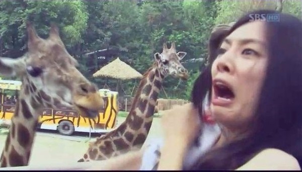 ▲ ⓒSBS '영웅호걸' 방송캡처