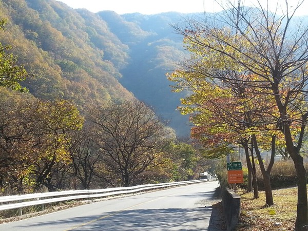 ▲ 오늘의 날씨. 가평군 북면 제령리 시리우스 팬션(siriuspension.com))에서 바라본 명지산 초입 도로. 단풍이 울긋불긋 멋진 자태를 뽐내고 있다.ⓒ뉴데일리 스타 황용희
