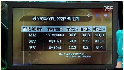 ▲ MBC 피디수첩의 광우병 관련 보도. ⓒ 화면 캡처