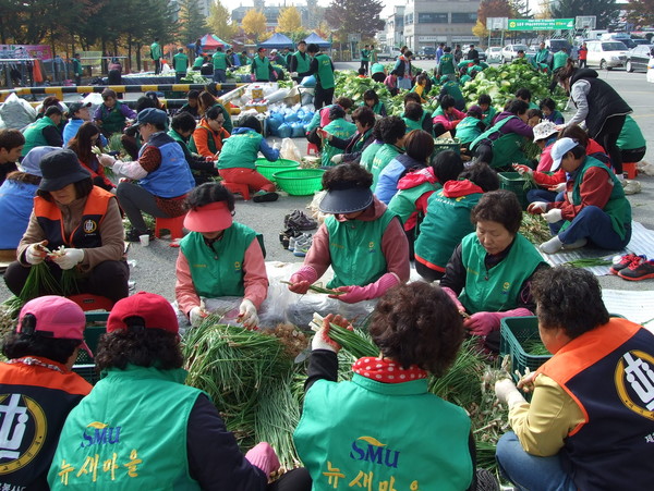 ▲ 제천시새마을회와 새마을남녀협의회, 자원봉사자들이 배추에 들어갈 갓과 당파를 손질하고 있다. 사진제공=제천시