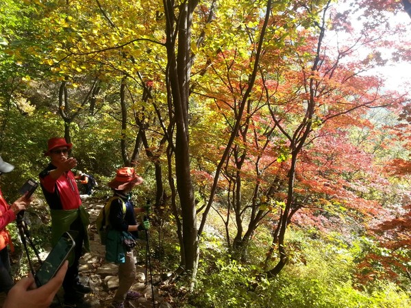 ▲ 기상청, 오늘날씨예보 미세먼지만 없다면 청명한 가을날씨를 즐길수 있다.ⓒ뉴데일리 스타 황용희
