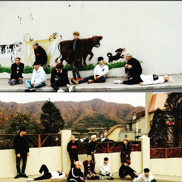 ▲ 탑독 ⓒ탑독프로젝트 SNS 캡처