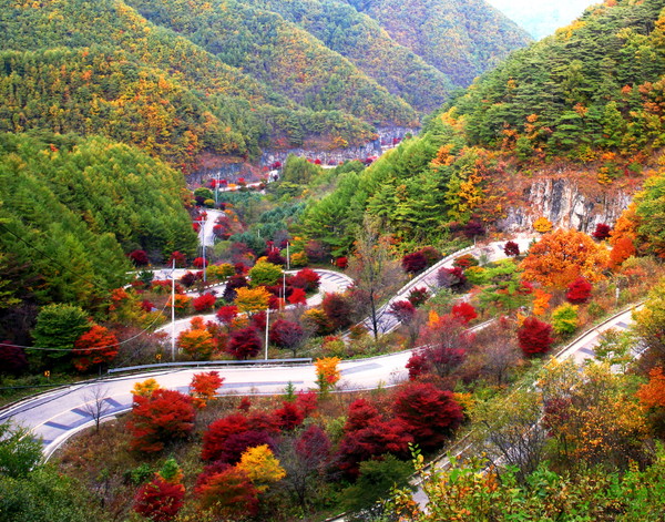 ▲ 단양소백산자락길 6코스 온달평강 로맨스길 보발재 단풍 모습. 사진제공=단양군