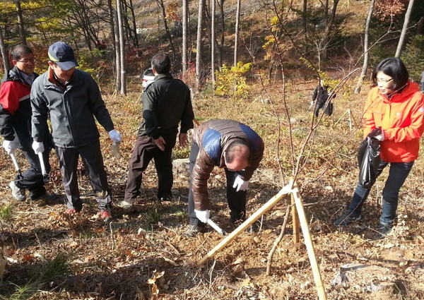 ▲ 류한우 단양군수(가운데)가 적성면 금수산 일원에서 숲 가꾸기 행사를 하고 있다. 사진제공=단양군