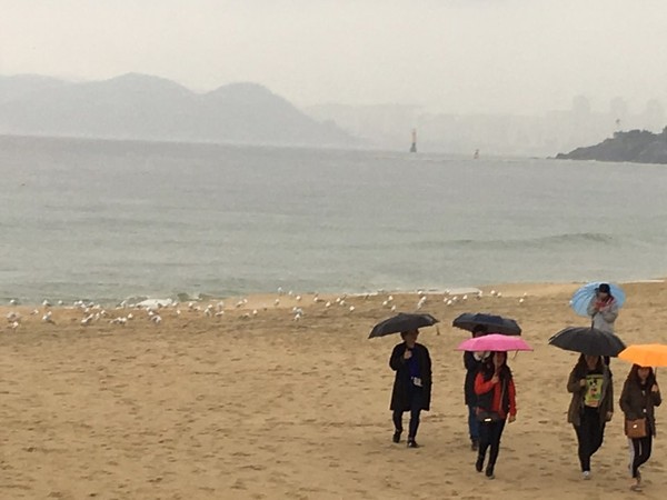 ▲ 비오는 해운대! 기상청은 '오늘날씨예보'를 통해 오전까지 비가 오다가 오후부터는 그친다고 예보했다.ⓒ뉴데일리 스타 황용희