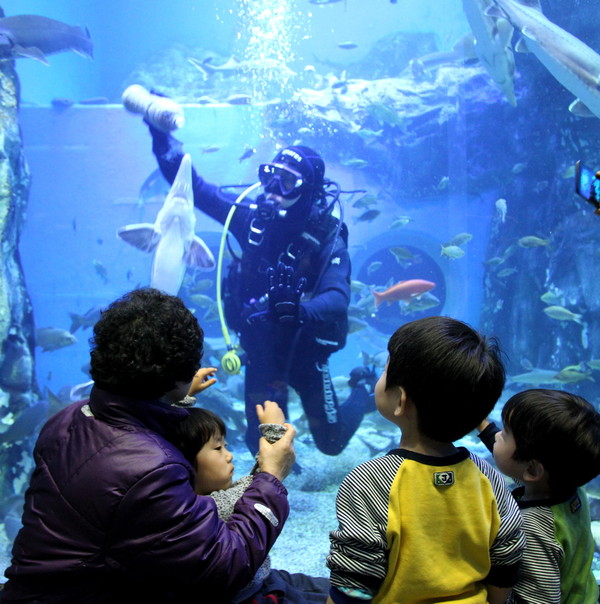 ▲ 민물고기 전시관 단양아쿠아리움을 찾은 어린이들이 수중 잠수부가 고기에게 먹이를 주는 모습을 신기하게 바라보고 있다. 사진제공=단양군