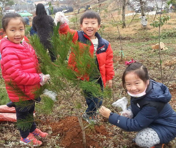 ▲ 제천코레일 새싹어린이집 원생들이 나무에 비료를 주며 즐거워하고 있다.사진제공=단양국유림관리소