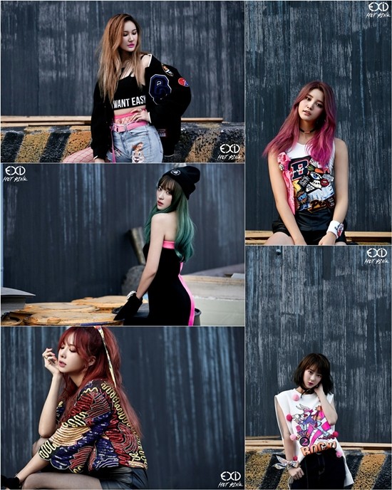 ▲ ⓒEXID SNS