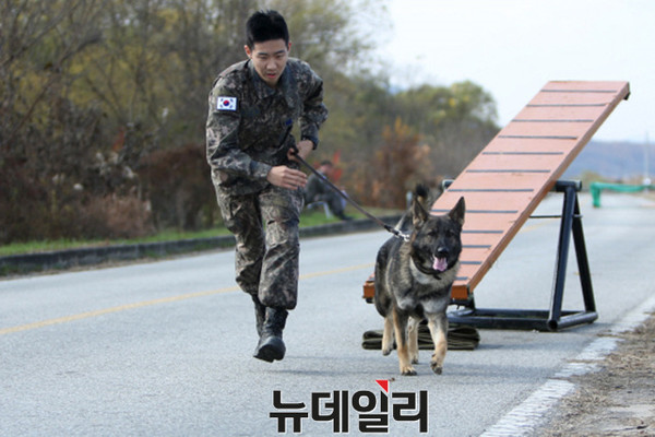 ▲ 대회 순찰견 부문 ‘체력능력’ 종목에 참가한 군견이 핸들러와 함께 시소 장애물을 넘고 있는 모습.ⓒ공군제공