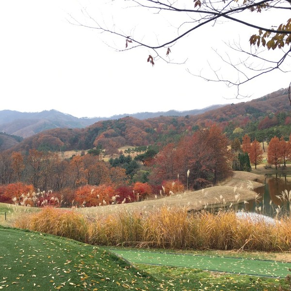 ▲ 기상청 오늘날씨예보는 맑고 포근해서 마지막 '엔딩 단풍'을 만끽할 것으로보인다. 가평의 가을이 황홀하다ⓒ뉴데일리 스타 활용희