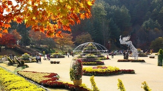 ▲ 청남대 국화축제 장면. 사진제공 충남대관리사업소 ⓒ뉴데일리