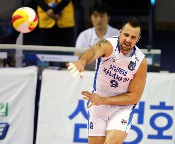 ▲ ⓒ삼성화재 블루팡스