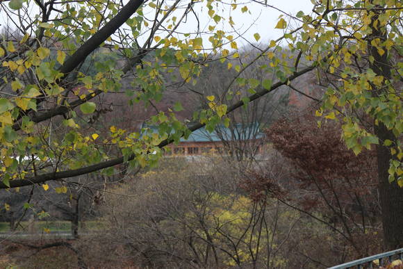 ▲ 호암미술관. ⓒ뉴데일리경제 최종희 기자.