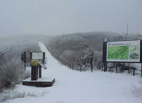 ▲ 25일 소백산 비로봉에 올해 처음으로 눈이 내렸다. 사진제공=국립공원 소백산북부사무소