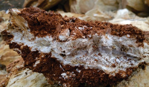 ▲ 충주댐 좌안에서 채취한 석면원석.사진제공=제천환경운동연합