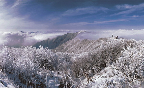 ▲ 구름에 덮힌 소백산 연화봉 설경과 상고대.사진제공=단양군