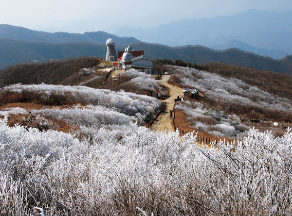 ▲ 소백산 연화봉 일대 상고대 모습.사진제공=단양군