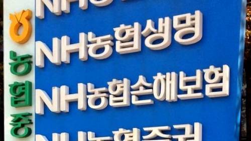 ▲ 농협손생보에 대한 '방카룰' 예외적용 등 특례 시한이 1년여 앞으로 다가왔다ⓒ뉴데일리 DB