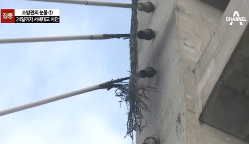 ▲ ⓒ채널A 방송화면