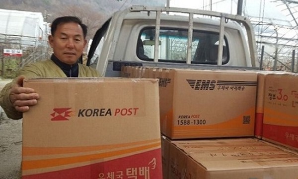 ▲ 8일 충북 보은대추가 부산항을 통해 일본으로 첫 수출길에 오른 가운데 김홍복씨가 수출 물량을 선적하기 위해 준비하고 있다.  ⓒ뉴데일리