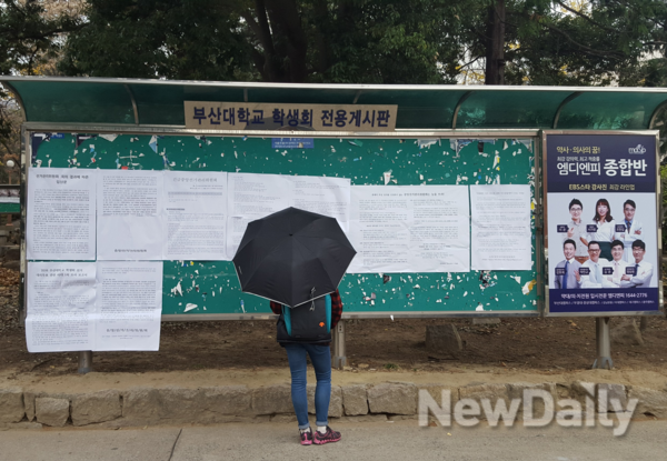 ▲ 지난 2일 부산대학교 장전캠퍼스 내에 붙은 '총학생회 대리투표'와 관련한 각종 대자보들을 지나가던 학생이 읽고 있다.ⓒ뉴데일리