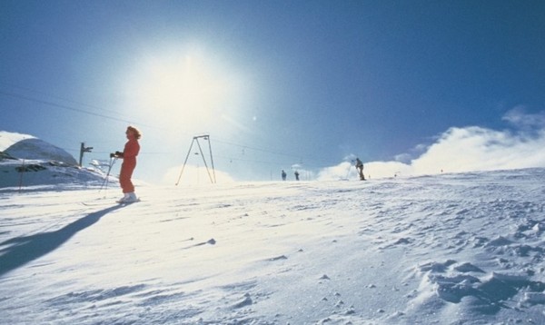 ▲ ⓒ온라인 커뮤니티