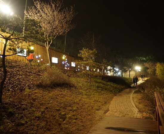 ▲ 야간에도 밝게 변한 호암지 산책로 모습.사진제공=충주시