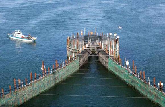 ▲ 죽방렴 전경.ⓒ해수부