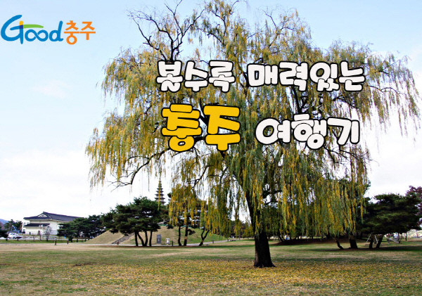 ▲ 조성춘 블로그의 '볼수록 매력있는 충주여행기.사진제공=충주시