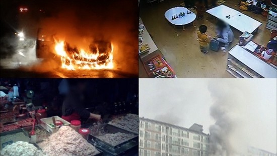 ▲ ⓒKBS1 똑똑한소비자리포트 제공